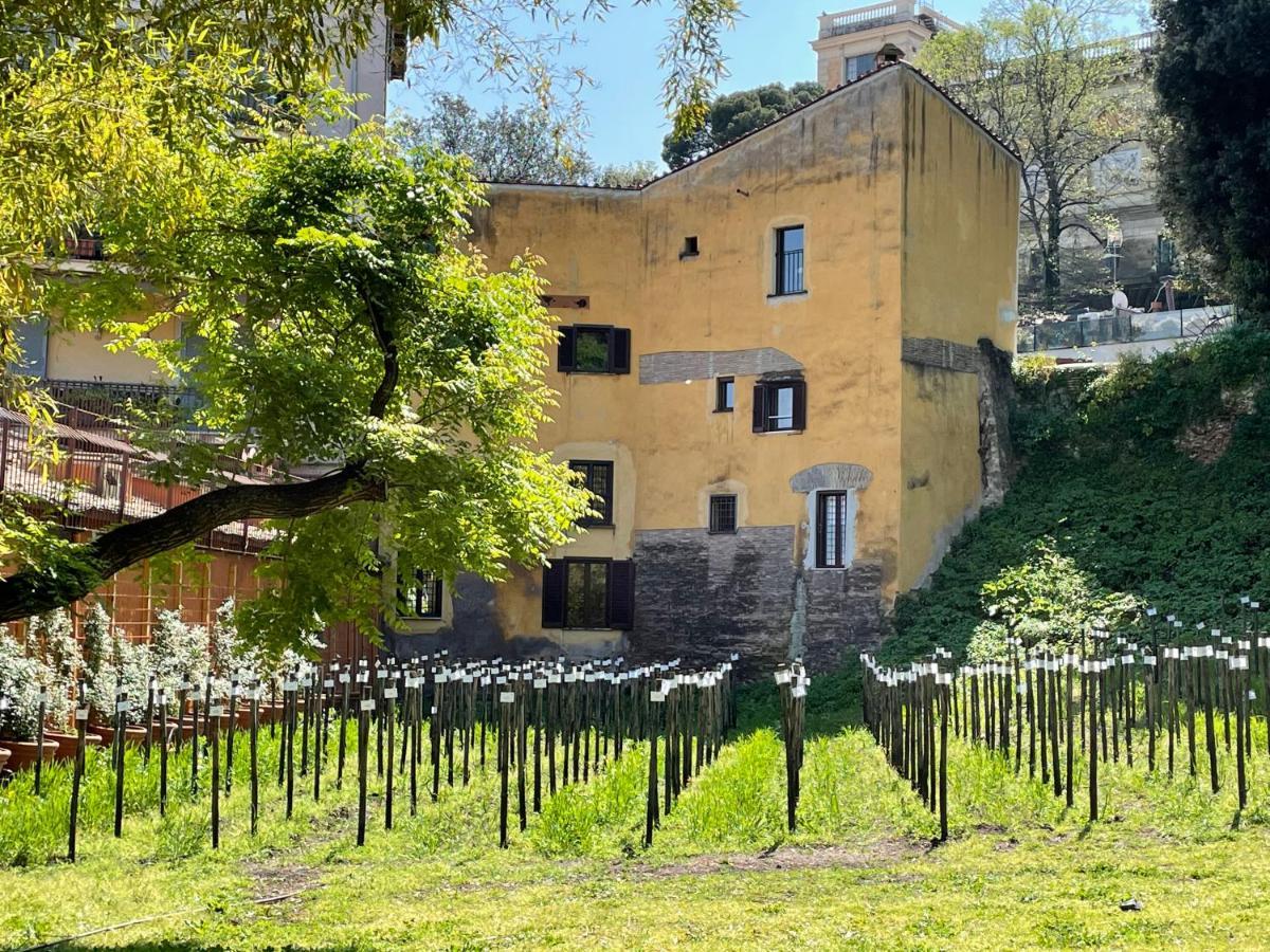 Il Mulino Di Trastevere - My Extra Home ローマ エクステリア 写真